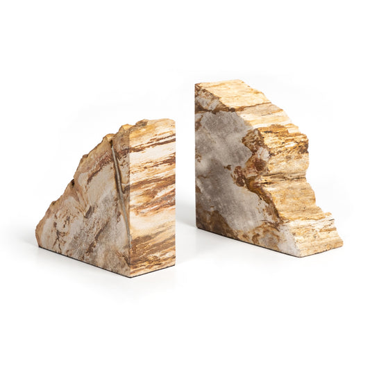 Petrified Wood Bookends